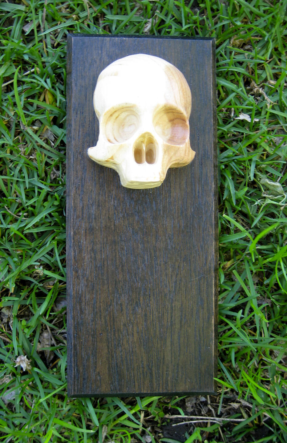 Skull Wall Plaque