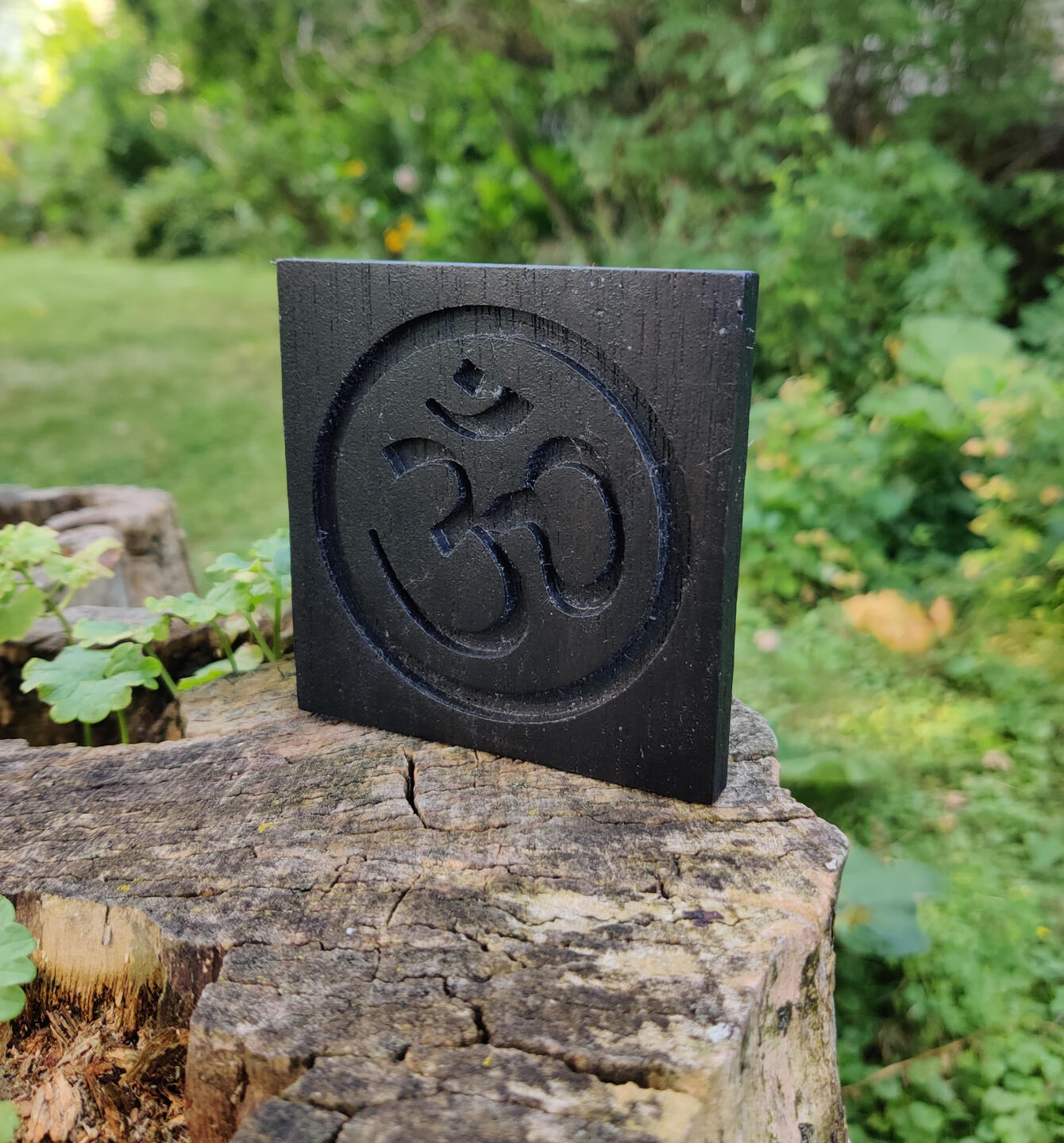 Ohm Plaque - Ebony