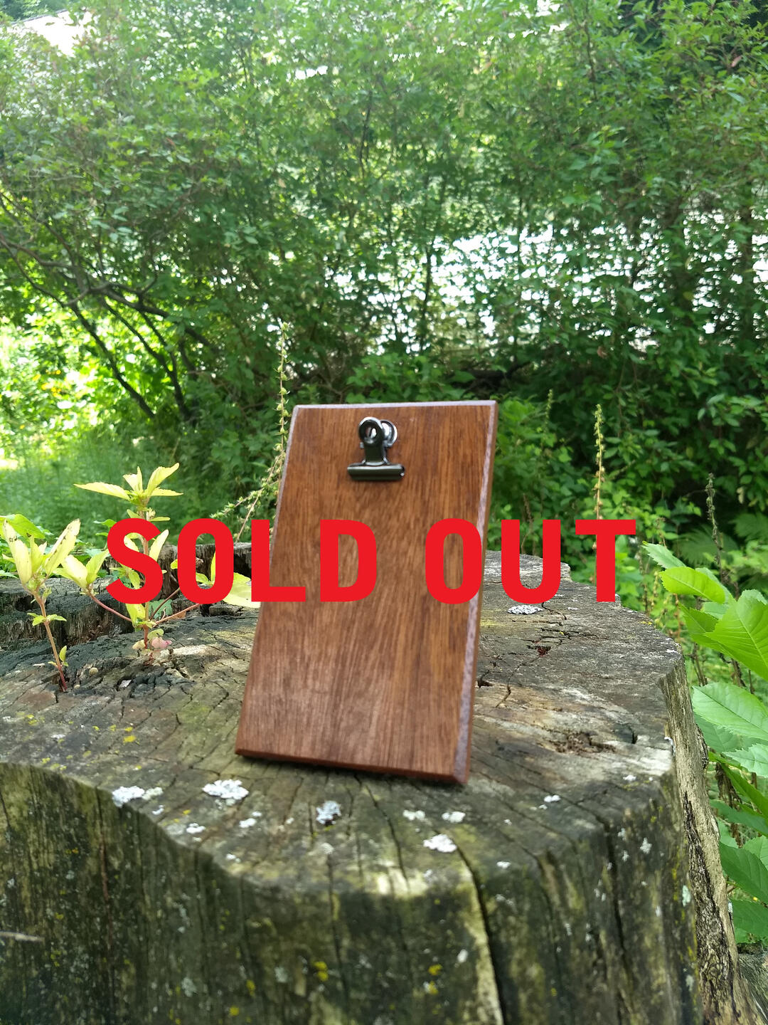 Upright Image Holder With Clip